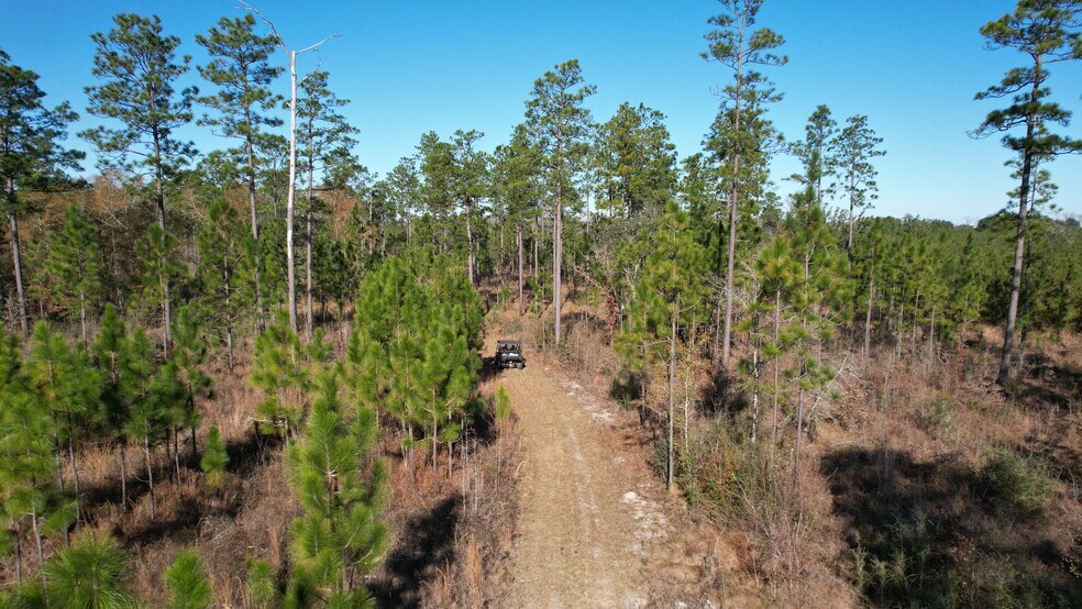 More Photos Of 17675 Cedar Springs Rd, Blakely Land For Sale