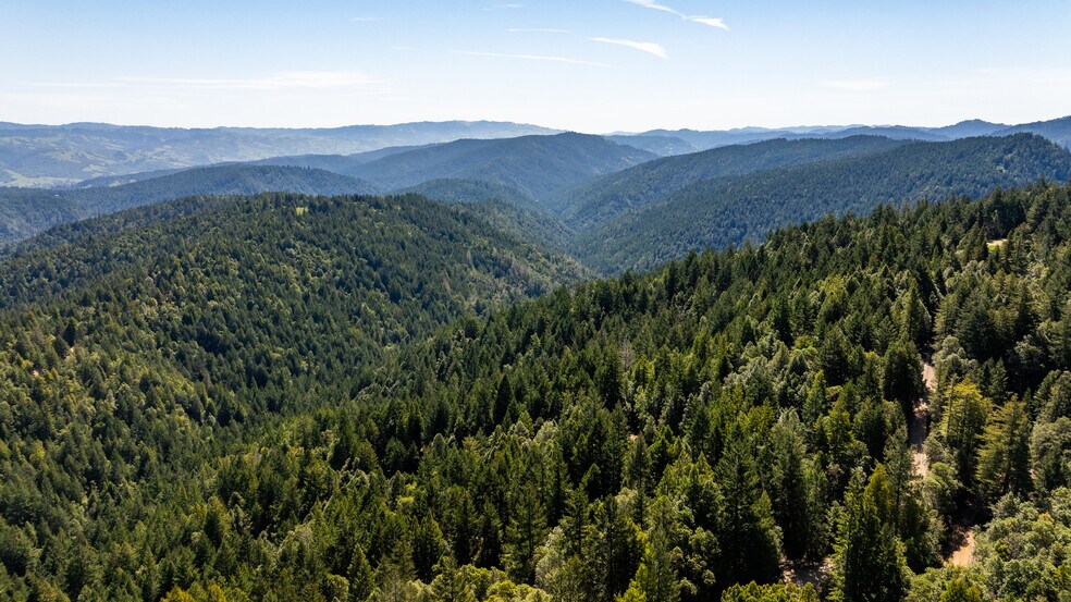 Primary Photo Of 8555 Signal Ridge Road, Philo Land For Sale