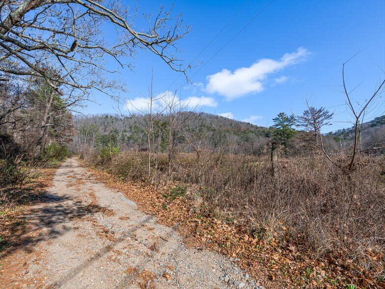 More Photos Of 300 Baird Cove Rd, Asheville Land For Sale
