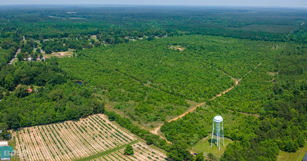 More Photos Of 0 Bellevue, Haughton Land For Sale