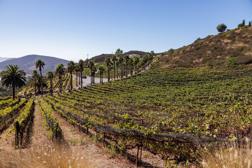 More Photos Of 2286 Sunshine Mountain Rd, San Marcos Winery Vineyard For Sale