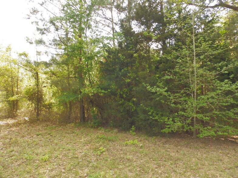 More Photos Of 19546 Tx-155, Flint Land For Sale