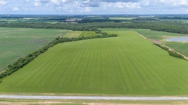 More Photos Of Co Rd 32, Foley Land For Sale