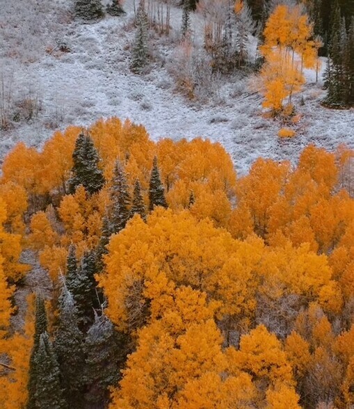 More Photos Of Parcels Logan lot 724 - U.P. No.2 lot 724 @ Red Cloud Rd., Park City Land For Sale