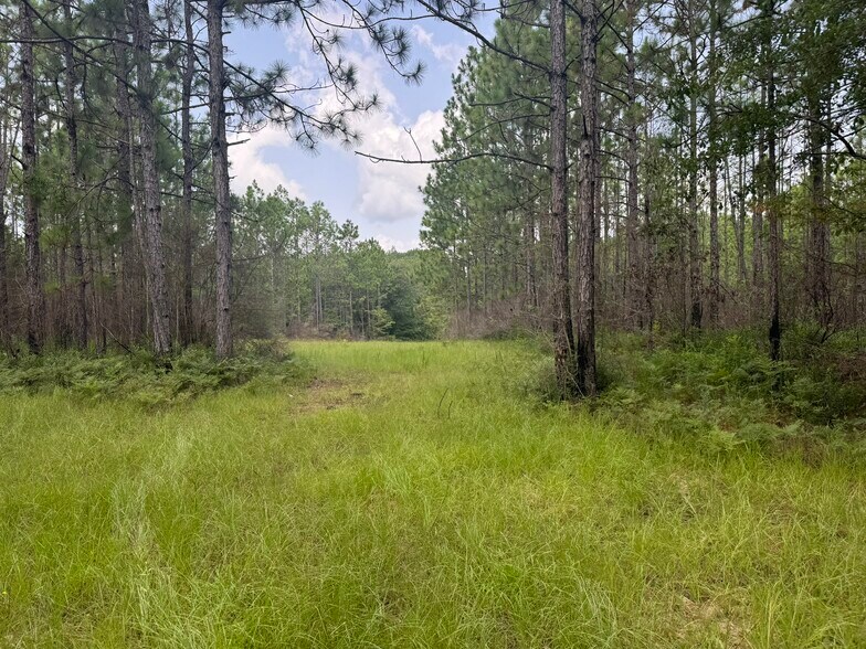 More Photos Of 0 Nokomis Road, Walnut Hill Land For Sale