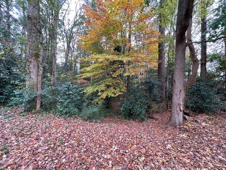 More Photos Of 4446 Glenwood Rd, Decatur Land For Sale