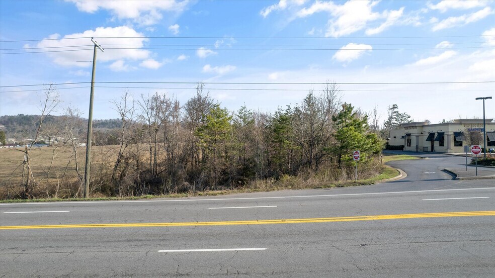 More Photos Of Chapman Hwy, Seymour Land For Sale