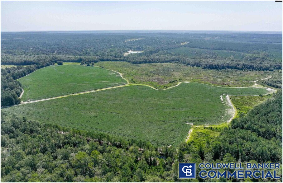 More Photos Of 1340 Clayton Rd, Ridge Spring Land For Sale