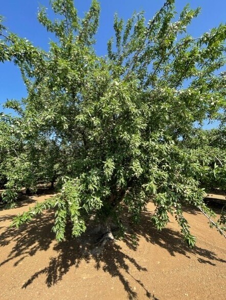 More Photos Of Draper Rd, Newman Land For Sale