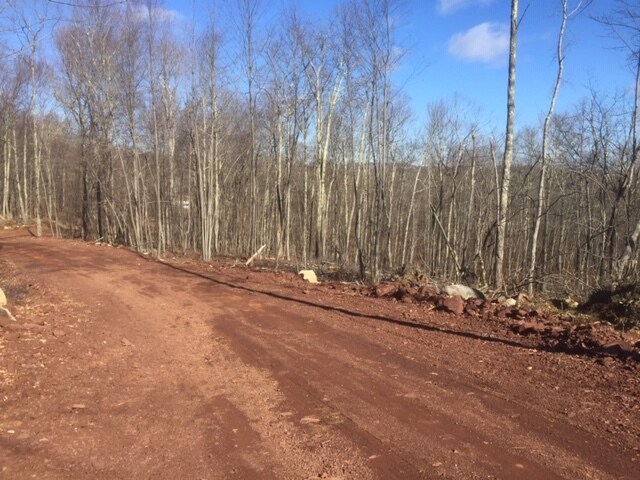 More Photos Of 20 Old Birch Rd, Union Land For Sale