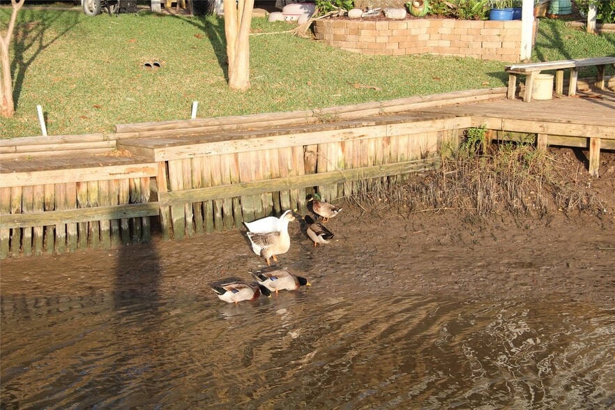 More Photos Of 5202 County Road 469, Brazoria Apartments For Sale