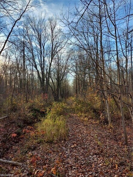 More Photos Of Magnolia Dr, Madison Land For Sale