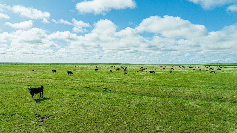 More Photos Of Squirrel Creek Road, Colorado Springs Land For Sale