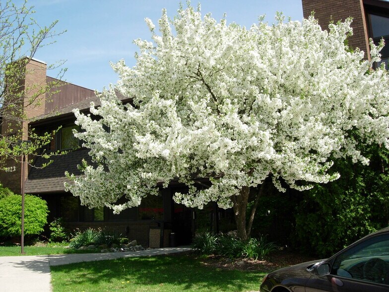 More Photos Of 4125 Okemos Rd, Okemos Office For Sale