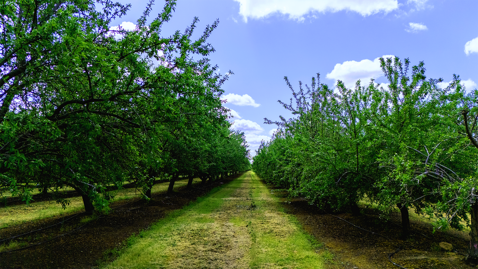 More Photos Of 19683 Avenue 23 1/2, Chowchilla Land For Sale