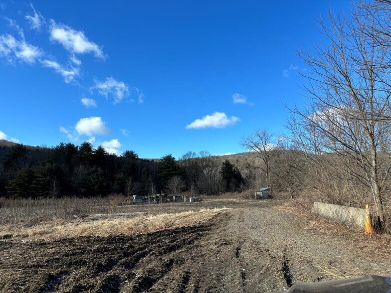 More Photos Of 4639 Meads Creek Rd, Painted Post Land For Sale