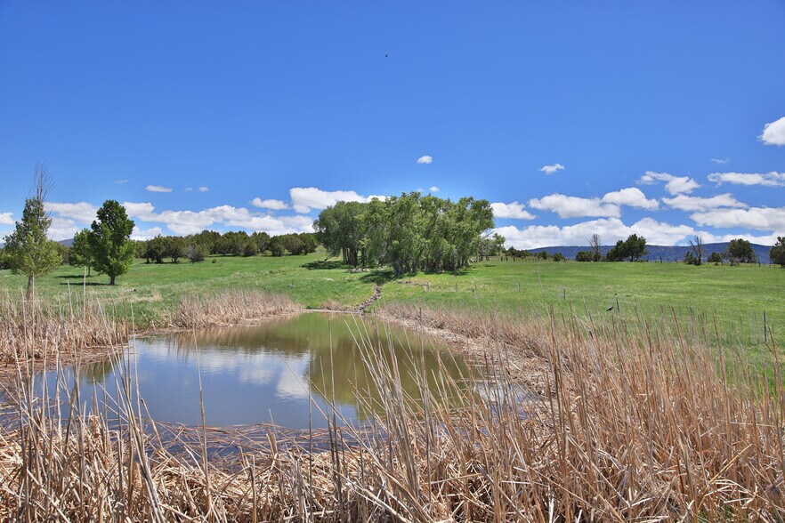 More Photos Of 57191 Me Rd, Collbran Land For Sale