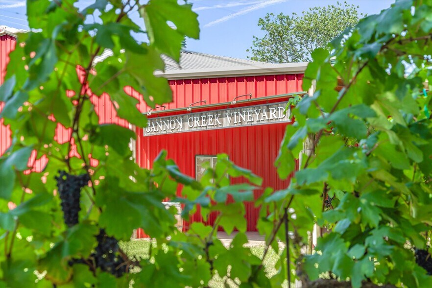 More Photos Of 5518 State Highway 198, Canton Winery Vineyard For Sale