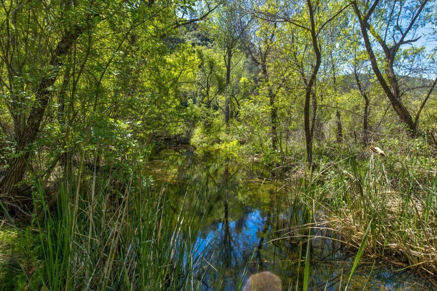 More Photos Of 4780-4784 Mary Harrison Mine Rd, Coulterville Land For Sale