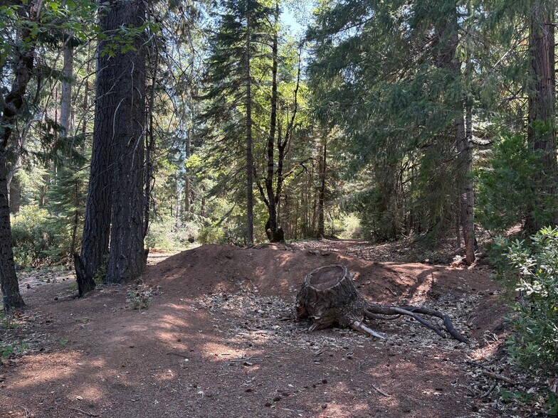 More Photos Of Castle Lake Rd, Mount Shasta Land For Sale