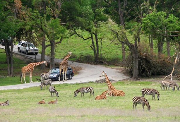 More Photos Of 110 Paluxy Summit Blvd., Glen Rose Land For Sale