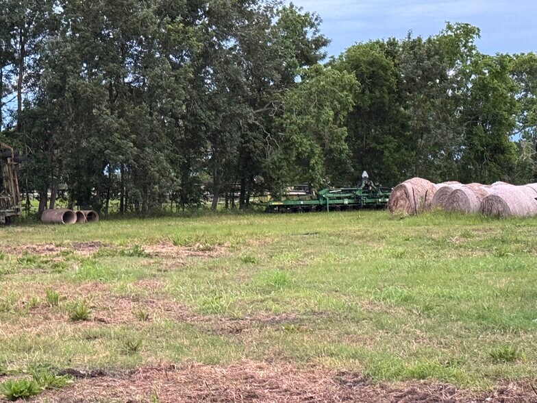 More Photos Of 20025 County Road 48, Rosharon Land For Sale