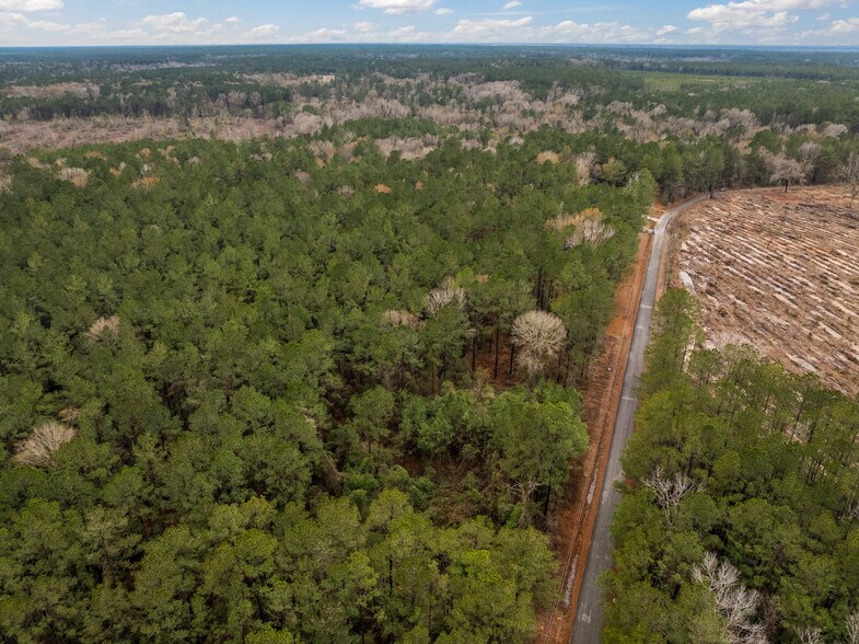 More Photos Of TBD 11 acres Tatoo Rd, Glenmora Land For Sale