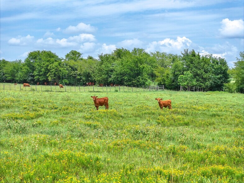 More Photos Of Tract 4 FM 855, Jacksonville Land For Sale