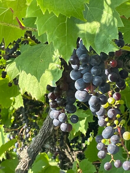 More Photos Of 14558 Ellsworth Rd, Berlin Center Specialty For Sale