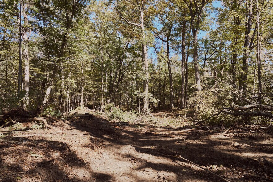 More Photos Of 1296 Flatbush Rd, Kingston Land For Sale