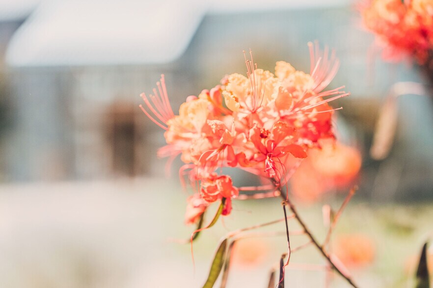 More Photos Of 1213 Kott Rd, Fredericksburg Specialty For Sale