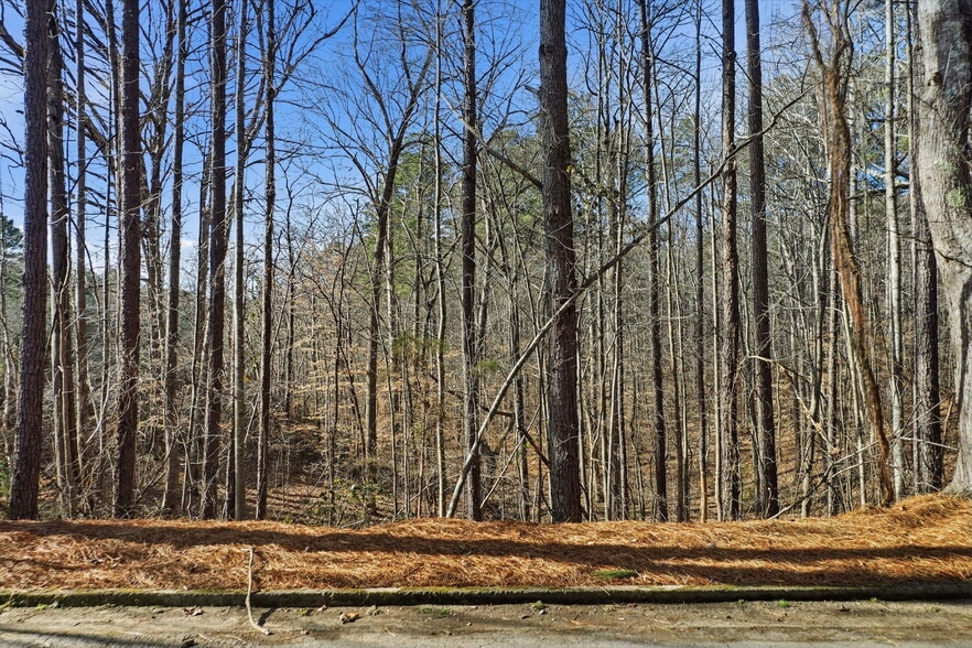 More Photos Of 1600 Sixes Road, Canton Land For Sale
