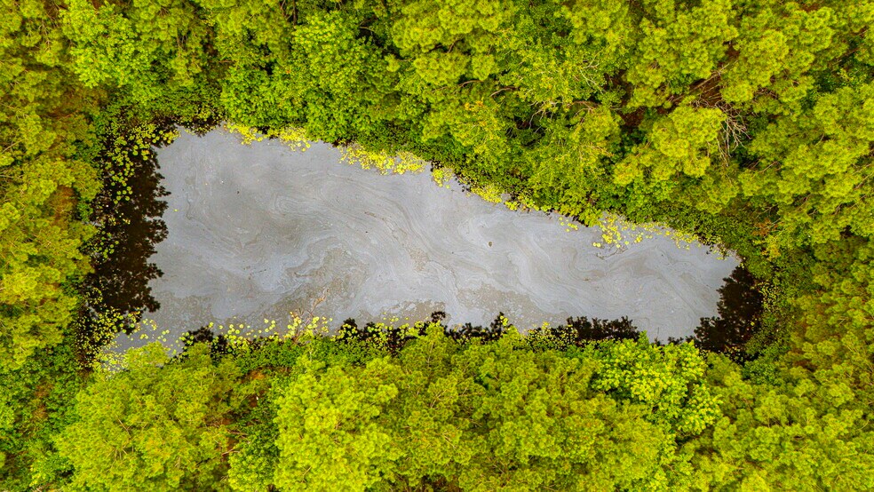 More Photos Of 0 HWY 242 TBD Hwy 242 Hwy, Conroe Land For Sale