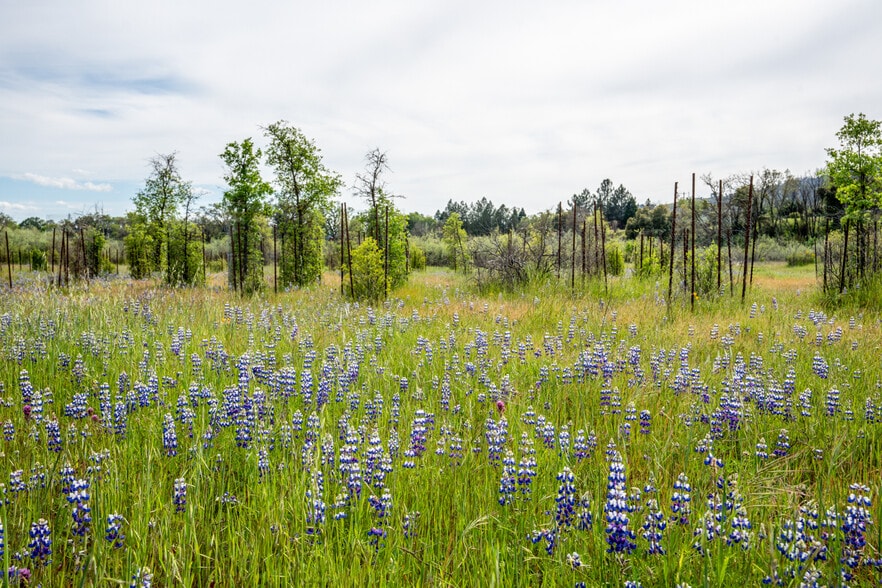 More Photos Of 11535 East Rd, Redwood Valley Land For Sale