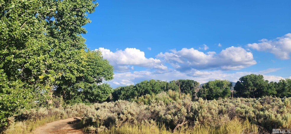 More Photos Of 5155 US Highway 50, Carson City Land For Sale
