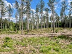 More Photos Of TBD Courthouse Rd, Sutherland Land For Sale