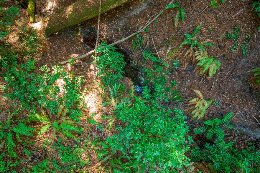 More Photos Of 2372 McKenzie Creek rd, Scotts Valley Land For Sale