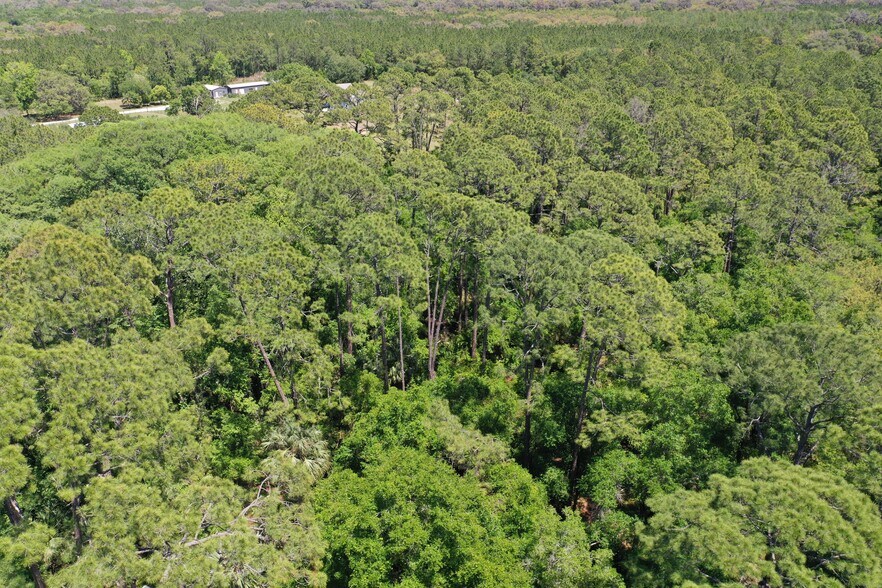 More Photos Of 638 Walnut St, Welaka Land For Sale