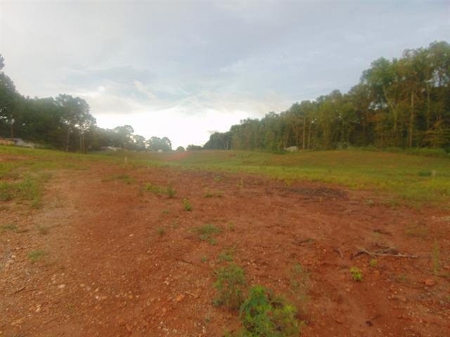 More Photos Of 0 CR 24, Florence Land For Sale