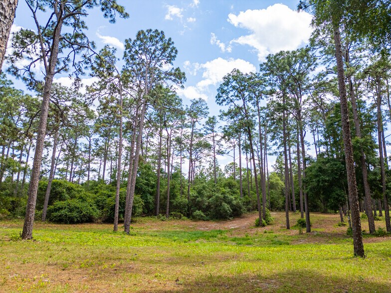 More Photos Of 1290 Blackwelder rd, De Leon Springs Land For Sale