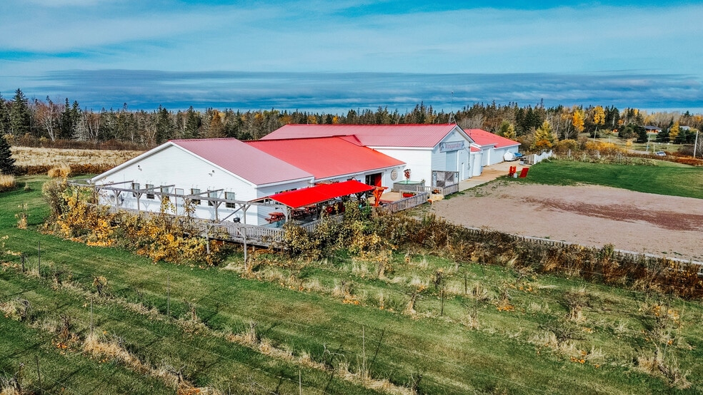 More Photos Of 851 Route 970, Baie Verte Winery Vineyard For Sale