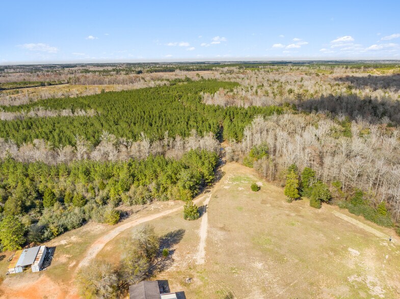 More Photos Of 7471 Hwy 155, Saline Land For Sale