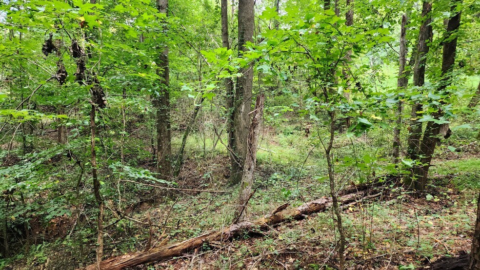 More Photos Of 1661 Friendship Rd, Hoschton Land For Sale