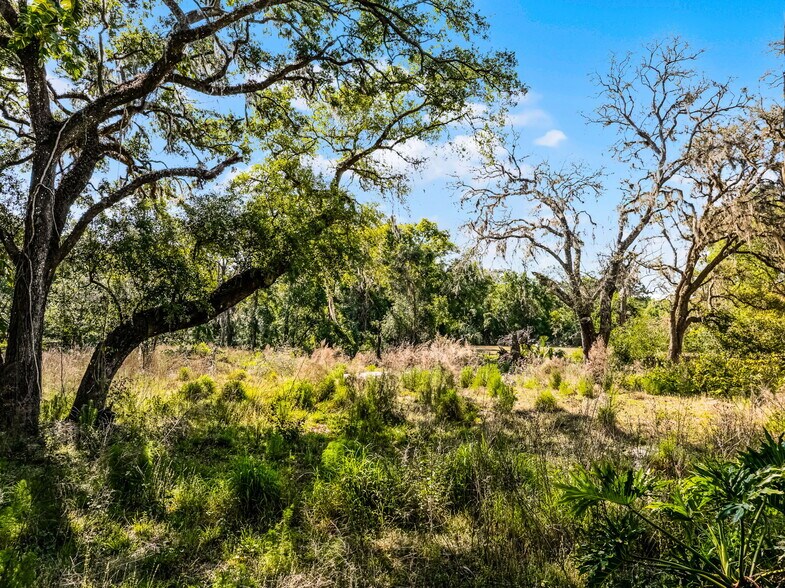 More Photos Of 3633 Panther Path Rd, Lutz Land For Sale