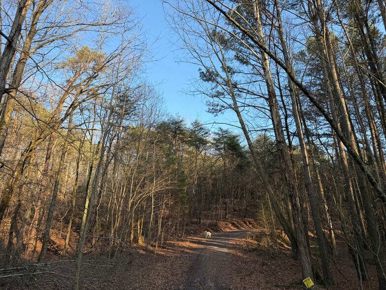 More Photos Of 260 Arnold Rd NE, Fairmount Land For Sale