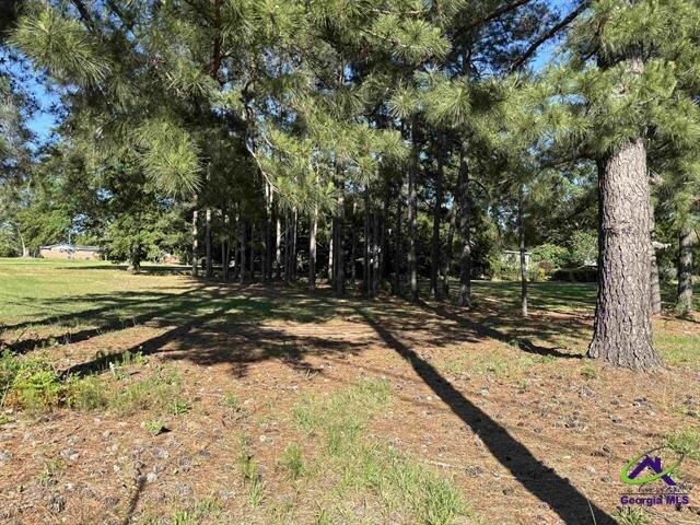 More Photos Of 1796 Houston Lake Rd, Perry Land For Sale