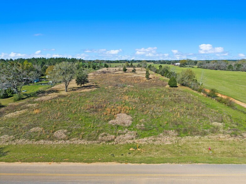 More Photos Of 33951 Lee Rd, Robertsdale Land For Sale