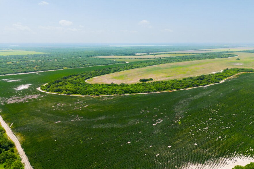 More Photos Of FM 1421 Rd, Brownsville Land For Sale