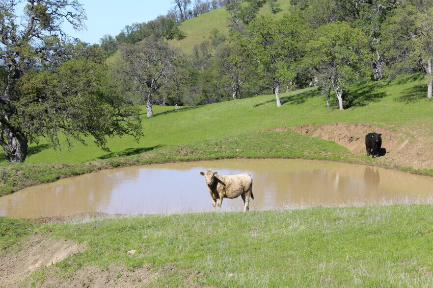 More Photos Of 20475-2047 County 57 rd, Guinda Land For Sale