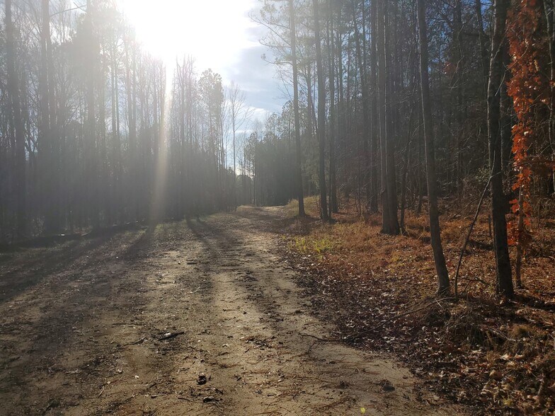 More Photos Of 00 Martin Pond, Wendell Land For Sale